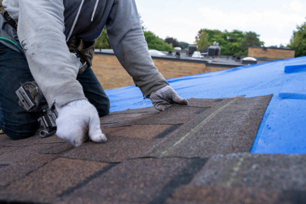Best Residential Roofing Contractor  in Lake Butler, FL